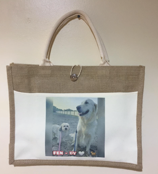 Shopping Jute Bag 45 x 34 x 12 cms with Printing